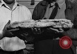 Image Recherche d'Ambergris sur une plage Bolinas Beach California USA, 1934, de la seconde 39 séquences d'archives historiques vidéo 65675046047