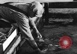 Immagine di I pescatori americano Troutdale Oregon USA, 1934, secondo 24 filmato di repertorio 65675046049