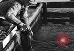 Immagine di I pescatori americano Troutdale Oregon USA, 1934, secondo 25 filmato di repertorio 65675046049