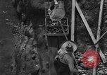 Immagine di I pescatori americano Troutdale Oregon USA, 1934, secondo 38 filmato di repertorio 65675046049