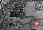 Standbild Polar Bear Cub Milwaukee Wisconsin USA, 1934, aus Sekunde 60 historischem Filmmaterial Videoclip 65675046052