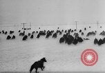 Immagine di Soldati russi La Russia, 1942, secondo 62 filmato di repertorio 65675046061