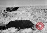 Image of Russian soldiers Russia, 1942, second 57 stock footage video 65675046062