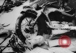Image of war damage Russia, 1942, second 21 stock footage video 65675046068