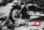 Image of war damage Russia, 1942, second 22 stock footage video 65675046068