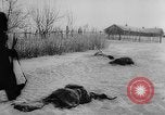Image of war damage Russia, 1942, second 56 stock footage video 65675046069