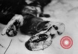 Image of Russian soldiers Russia, 1942, second 23 stock footage video 65675046070
