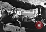 Image of United States Coast Guard officers Greenland, 1940, second 60 stock footage video 65675046075