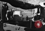 Image of United States Coast Guard officers Greenland, 1940, second 62 stock footage video 65675046075