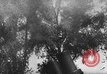 Image of German artillery barrages France, 1940, second 23 stock footage video 65675046080