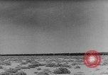 Immagine di Offensiva tedesca contro la Russia Sovietica nella seconda guerra mondiale La Russia, 1941, secondo 1 filmato di repertorio 65675046084