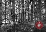 Image of Early settlements in the American colonies United States USA, 1944, second 38 stock footage video 65675046103