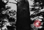 Image of Early settlements in the American colonies United States USA, 1944, second 51 stock footage video 65675046103