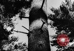Image of Early settlements in the American colonies United States USA, 1944, second 53 stock footage video 65675046103