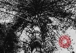 Image of Early settlements in the American colonies United States USA, 1944, second 55 stock footage video 65675046103