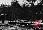 Image of Settlement and development of the United States United States USA, 1939, second 35 stock footage video 65675046104