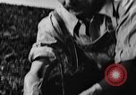 Image of Settlement and development of the United States United States USA, 1939, second 49 stock footage video 65675046104