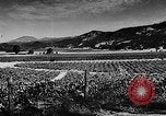 Image of Settlement and development of the United States United States USA, 1939, second 52 stock footage video 65675046104
