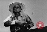 Image of Settlement and development of the United States United States USA, 1939, second 54 stock footage video 65675046104