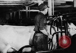 Image of America prior to World War II United States USA, 1940, second 47 stock footage video 65675046105