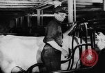 Image of America prior to World War II United States USA, 1940, second 48 stock footage video 65675046105