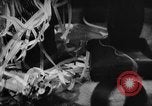 Image of Scenes of American life in 20th century United States USA, 1944, second 40 stock footage video 65675046107