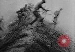 Immagine di I focolai di guerra mondiale dal 1918 al 1940 Europa, 1940, secondo 11 filmato di repertorio 65675046108
