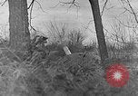 Immagine di Germania precipita seconda guerra mondiale in Europa United States USA, 1941, secondo 17 filmato di repertorio 65675046111