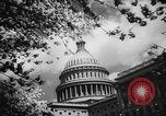 Immagine di Harry Truman assume la presidenza United States USA, 1945, secondo 25 filmato di repertorio 65675046119