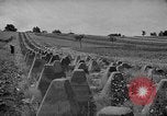Immagine di Soldati polacchi Polonia, 1939, secondo 43 filmato di repertorio 65675046125