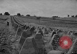 Immagine di Soldati polacchi Polonia, 1939, secondo 45 filmato di repertorio 65675046125