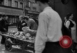 Image of French troops France, 1939, second 11 stock footage video 65675046127