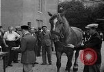 Image of French troops France, 1939, second 52 stock footage video 65675046127