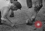 Image of French troops France, 1939, second 55 stock footage video 65675046127