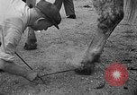 Image of French troops France, 1939, second 56 stock footage video 65675046127