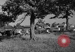 Standbild Wendell Willkie Elwood Indiana USA, 1940, aus Sekunde 54 historischem Filmmaterial Videoclip 65675046142