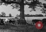 Standbild Wendell Willkie Elwood Indiana USA, 1940, aus Sekunde 55 historischem Filmmaterial Videoclip 65675046142