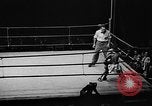 Standbild amerikanische Kinder New York City USA, 1940, aus Sekunde 33 historischem Filmmaterial Videoclip 65675046155