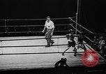 Standbild amerikanische Kinder New York City USA, 1940, aus Sekunde 34 historischem Filmmaterial Videoclip 65675046155
