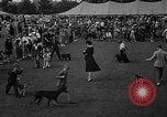 Standbild Westchester Kennel Club Vorrichtung Rye New York USA, 1940, aus Sekunde 9 historischem Filmmaterial Videoclip 65675046156