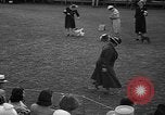 Standbild Westchester Kennel Club Vorrichtung Rye New York USA, 1940, aus Sekunde 10 historischem Filmmaterial Videoclip 65675046156