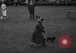 Standbild Westchester Kennel Club Vorrichtung Rye New York USA, 1940, aus Sekunde 13 historischem Filmmaterial Videoclip 65675046156