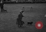 Standbild Westchester Kennel Club Vorrichtung Rye New York USA, 1940, aus Sekunde 14 historischem Filmmaterial Videoclip 65675046156