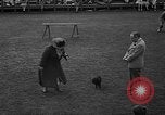 Standbild Westchester Kennel Club Vorrichtung Rye New York USA, 1940, aus Sekunde 15 historischem Filmmaterial Videoclip 65675046156