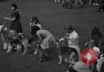 Standbild Westchester Kennel Club Vorrichtung Rye New York USA, 1940, aus Sekunde 16 historischem Filmmaterial Videoclip 65675046156