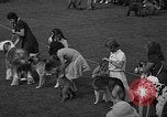 Standbild Westchester Kennel Club Vorrichtung Rye New York USA, 1940, aus Sekunde 17 historischem Filmmaterial Videoclip 65675046156