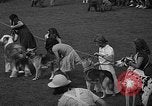 Standbild Westchester Kennel Club Vorrichtung Rye New York USA, 1940, aus Sekunde 18 historischem Filmmaterial Videoclip 65675046156