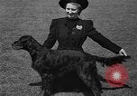 Standbild Westchester Kennel Club Vorrichtung Rye New York USA, 1940, aus Sekunde 21 historischem Filmmaterial Videoclip 65675046156