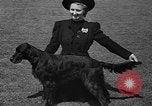 Standbild Westchester Kennel Club Vorrichtung Rye New York USA, 1940, aus Sekunde 22 historischem Filmmaterial Videoclip 65675046156