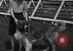Standbild Westchester Kennel Club Vorrichtung Rye New York USA, 1940, aus Sekunde 26 historischem Filmmaterial Videoclip 65675046156
